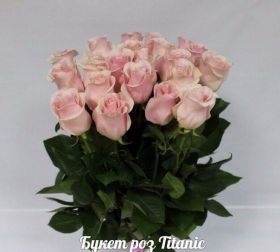 Титаник (Titanic) 90 см