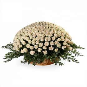 Северное сияние