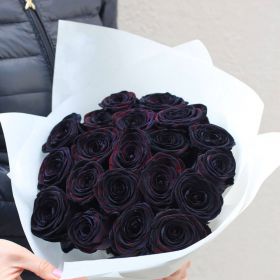 17 натуральных черных роз 70-90 см