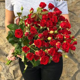 Роза кустовая Алина 70 см