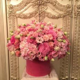 Pink fantasy